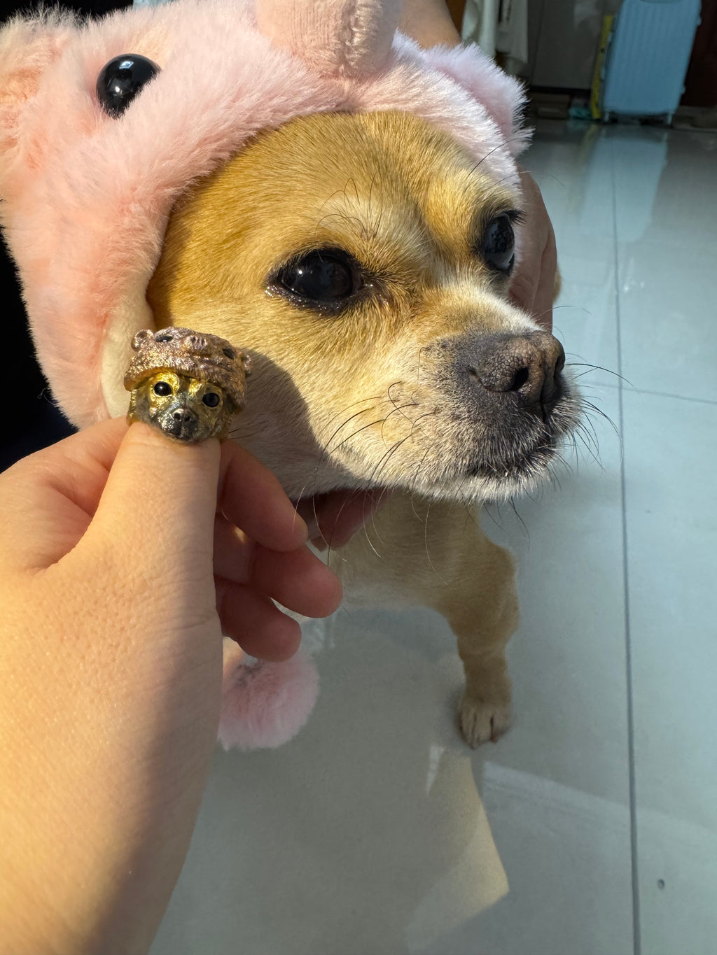 Custom Pet Portrait Ring