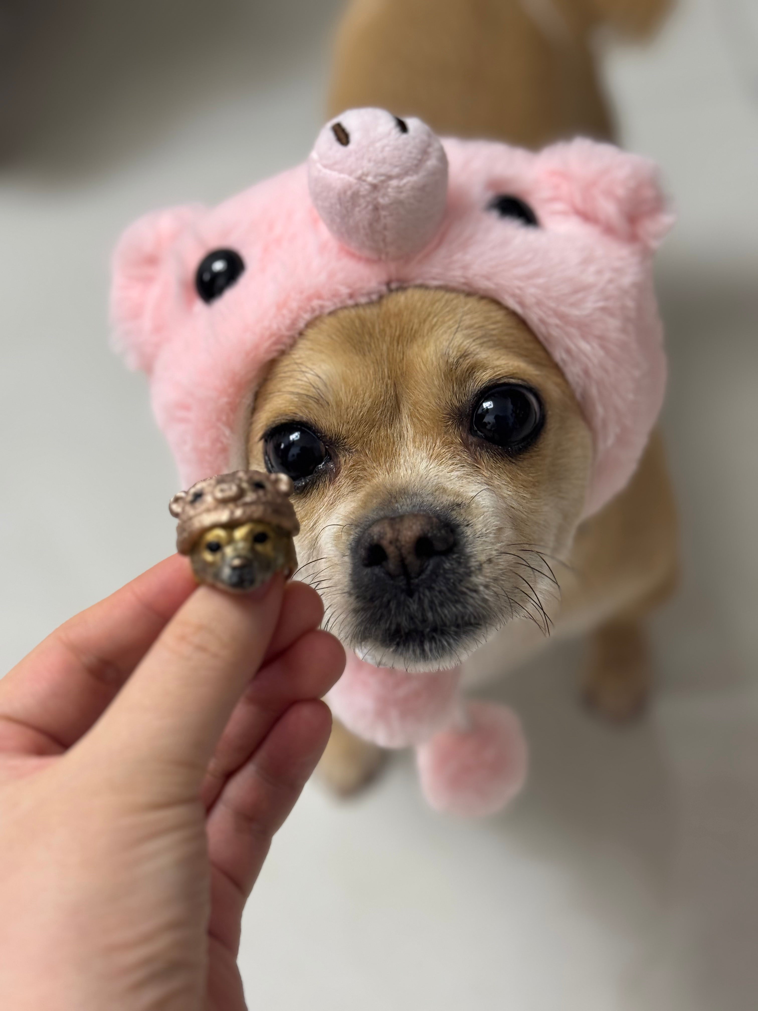 Custom Pet Portrait Ring