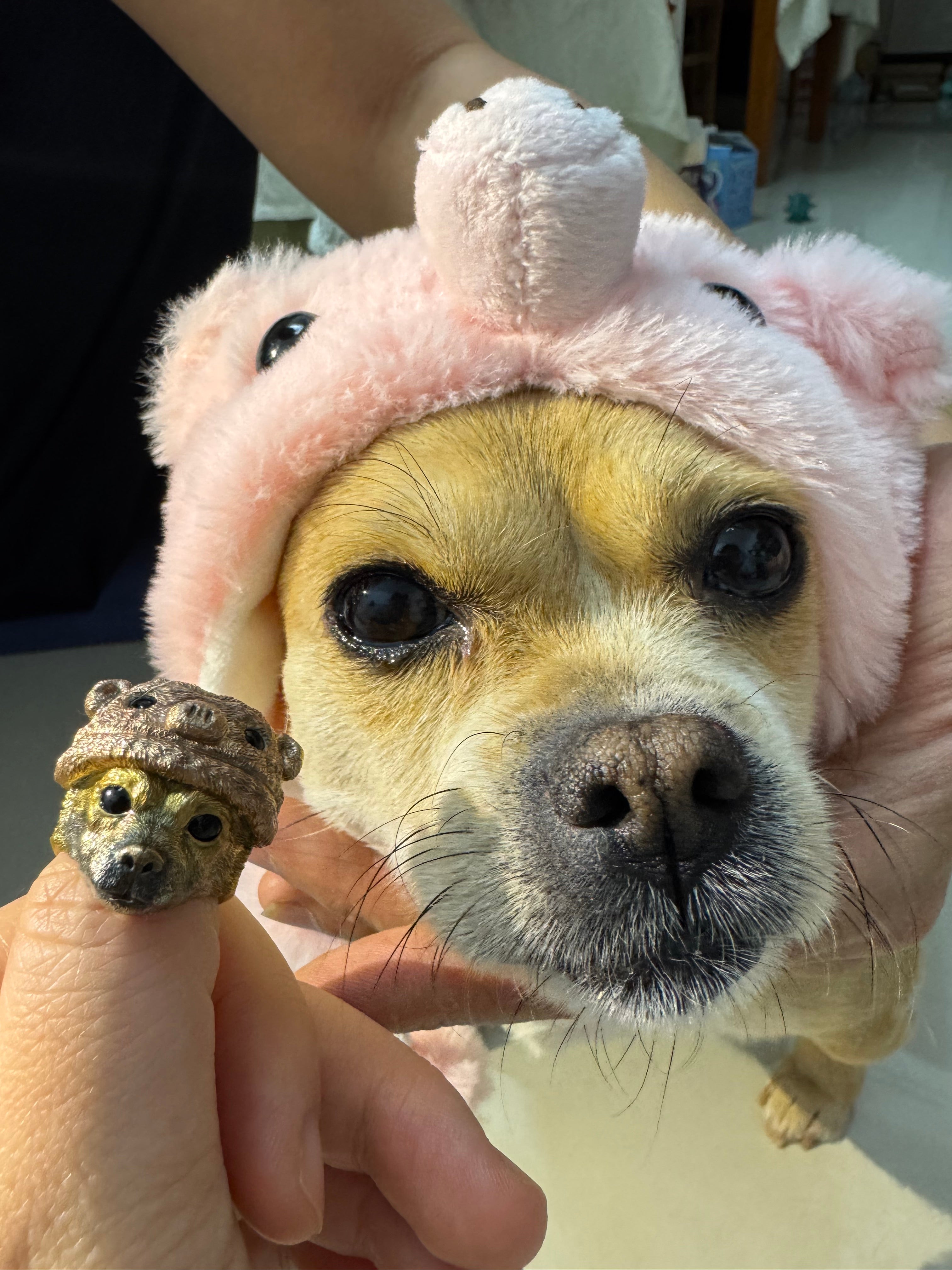 Custom Pet Portrait Ring