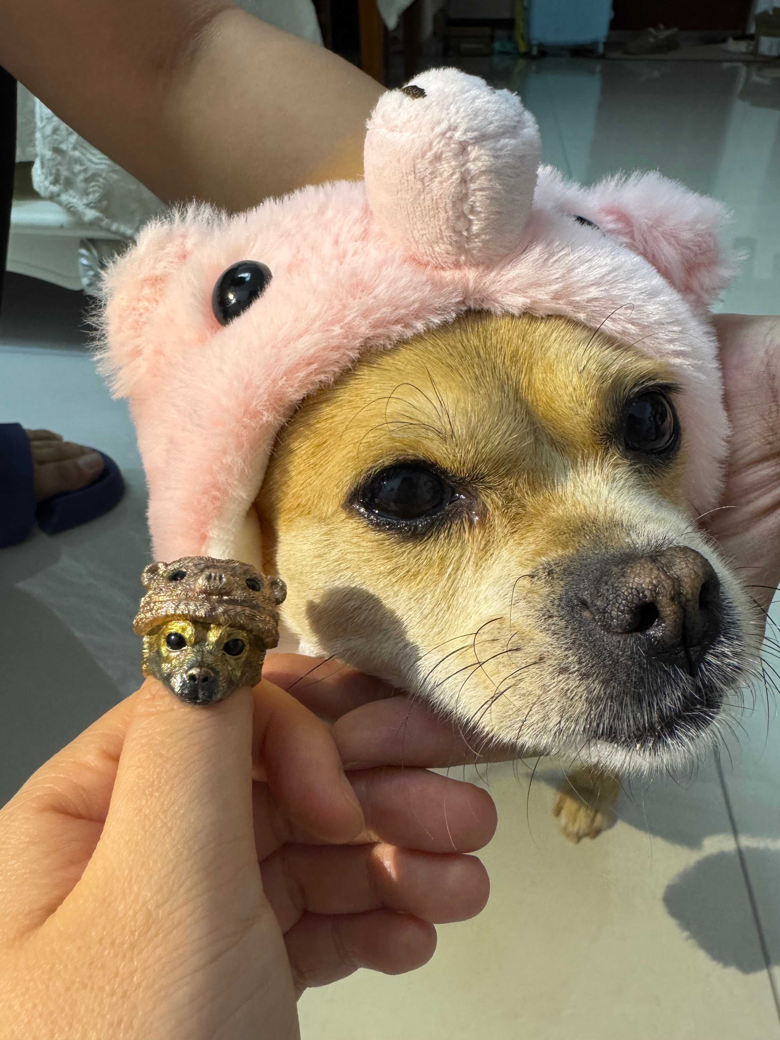 Custom Pet Portrait Ring